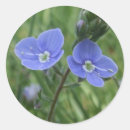 Pesquisar por prada adesivos Bonito