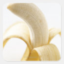 Pesquisar por bananas adesivos Casca