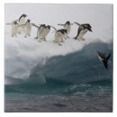 Pesquisar por pinguim azulejos Animais