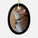 Pesquisar por stuffers da meia ornamentos Fotografia