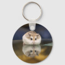 Pesquisar por roedores chaveiros Hamster