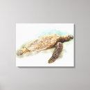 Pesquisar por peixes tropicais impressão de canvas Tartaruga