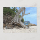 Pesquisar por balanço cartoes postais Verão