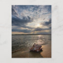 Pesquisar por conchas cartoes postais Areia