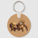 Pesquisar por dachshund chaveiros Doxie
