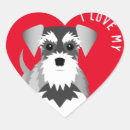 Pesquisar por eu amo schnauzers Schnauzer diminuto