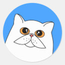 Pesquisar por gato branco olhos adesivos Azul
