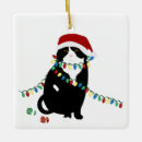 Pesquisar por couve ornamentos Feriado
