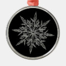 Pesquisar por cristal ornamentos Inverno