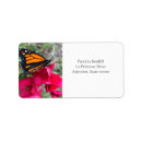 Pesquisar por da borboleta etiquetas For her