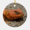 Pesquisar por dragão vermelho ornamentos Amor