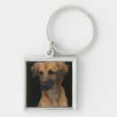 Pesquisar por nariz chaveiros Animais domésticos