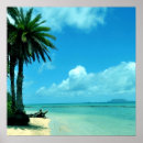 Pesquisar por hawaii pósteres pôsteres Fotografia