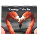Pesquisar por pássaro vadeando Flamingos