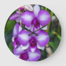 Pesquisar por orquídea branca artes pôsteres Flores