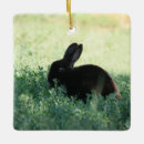 Pesquisar por coelhos ornamentos Qualquer pessoa