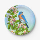 Pesquisar por bluebirds Primavera