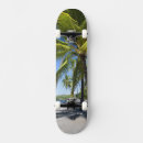 Pesquisar por palmeiras tropicais skates Natureza