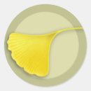Pesquisar por ginko adesivos Ouro