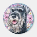 Pesquisar por do cão schnauzer imas Fofo