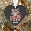 Pesquisar por memes ornamentos Gato