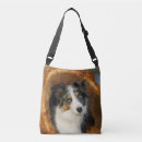 Pesquisar por border collie bolsas Animal