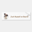 Pesquisar por russells do jaque autocolantes Animal de estimação