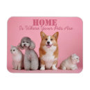 Pesquisar por ímãs do cão imas Gatinho