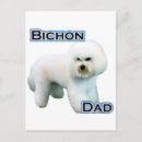 Pesquisar por tenerife cartoes postais Bichon frise