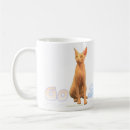 Pesquisar por sphynx canecas Gatinho
