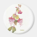 Pesquisar por fushia Rosa