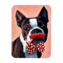 Pesquisar por bigode imas Boston terrier