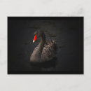 Pesquisar por pássaros aquáticos cartoes postais Cisne