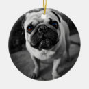 Pesquisar por natal pug ornamentos Filhotes