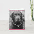 Pesquisar por chocolate labrador retriever cartoes Cachorrinho