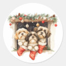 Pesquisar por shih tzu adesivos Cachorros