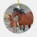Pesquisar por cavalo mustang de natal decoração Eqüino