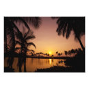 Pesquisar por ilha grande pôsteres Sem pessoas