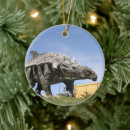 Pesquisar por enfeites de natal de dinossauros ornamentos Cretáceo