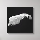 Pesquisar por asteróide impressão de canvas Universo