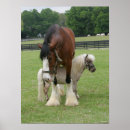 Pesquisar por cavalo clydesdale artes pôsteres Bob langre