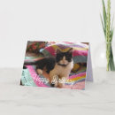 Pesquisar por gato persa branco cartoes For her