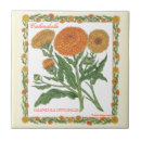 Pesquisar por flores cravo defunto azulejos Jardim