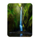 Pesquisar por ravina imas Floresta