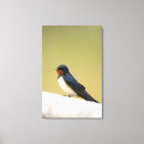 Pesquisar por andorinha impressão de canvas Animais selvagens