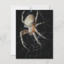 Pesquisar por web cartoes postais Natureza