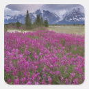 Pesquisar por paisagem do alasca adesivos Flor
