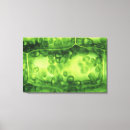 Pesquisar por arte da planta impressão de canvas Biologia