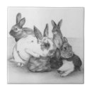 Pesquisar por coelho desenho azulejos Lebre