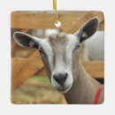 Pesquisar por goat ornamentos Leite